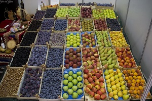 voce_sa_plantaza_agroprodukt